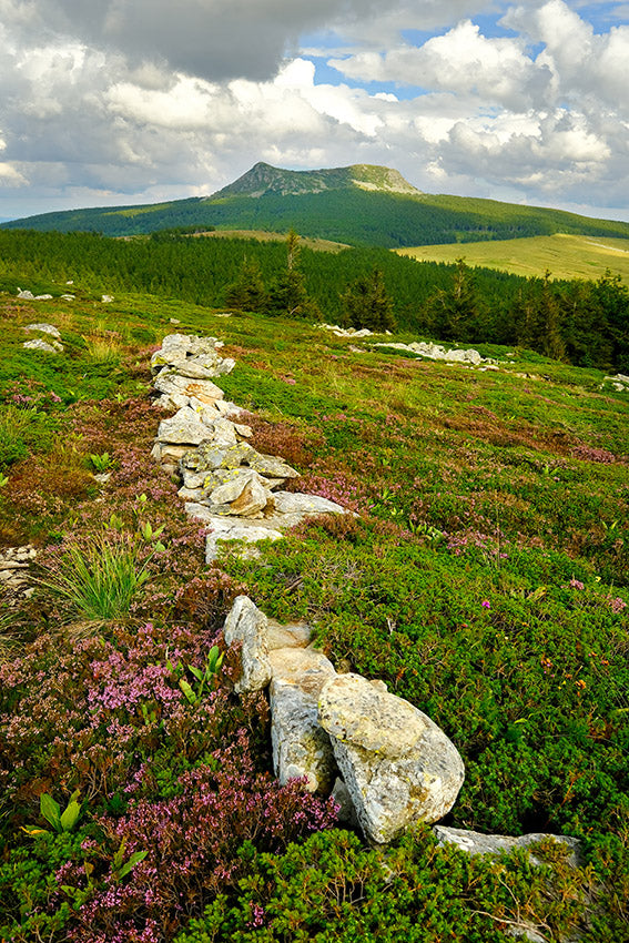 Série Plateau du Mézenc