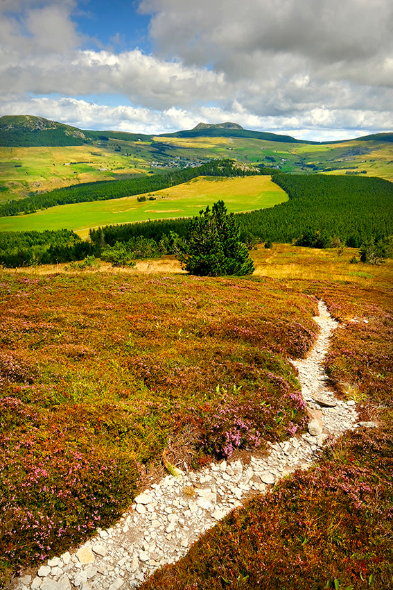Série Plateau du Mézenc