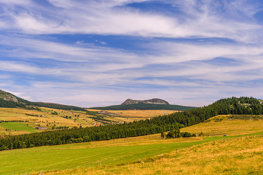 Série Plateau du Mézenc