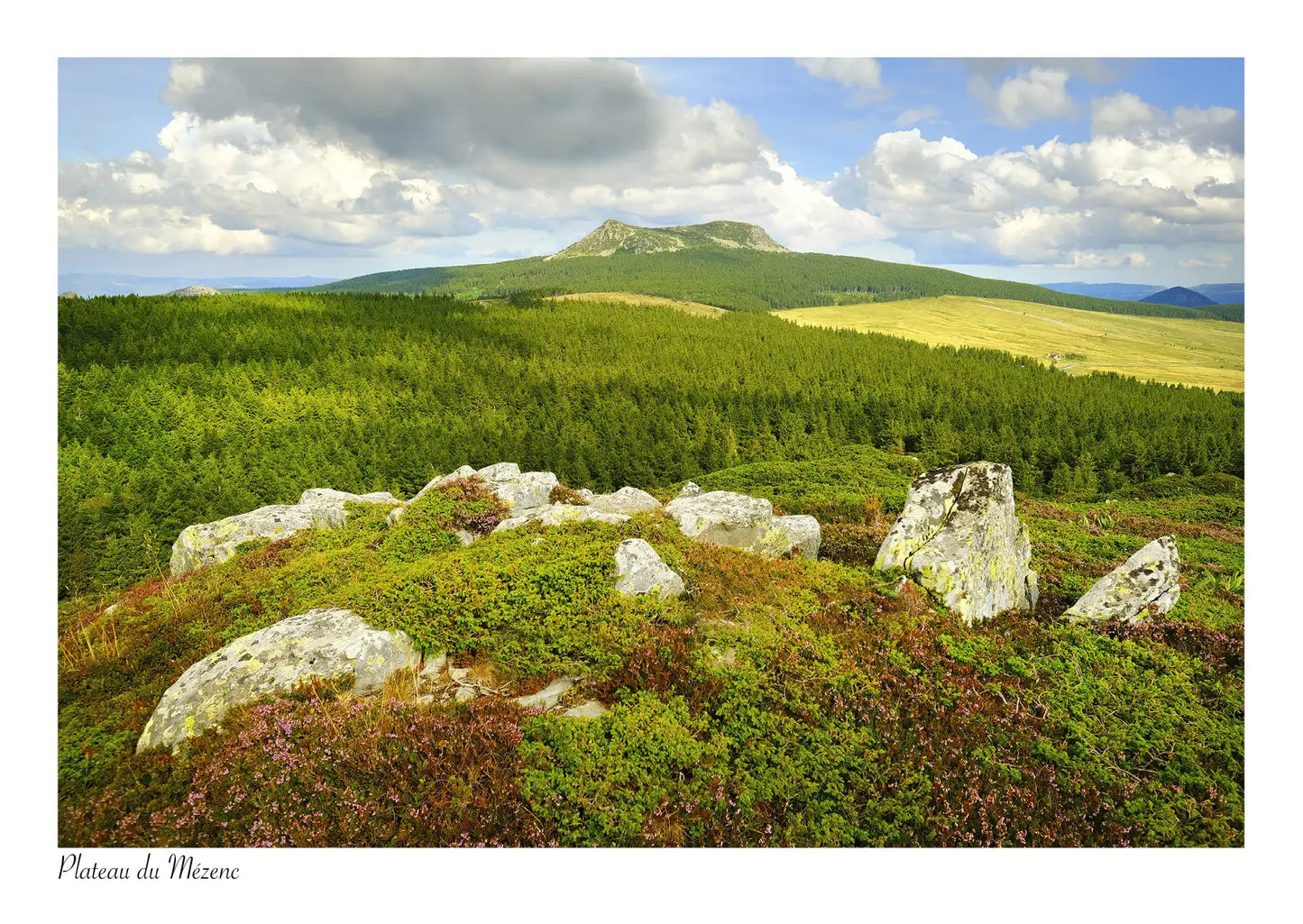 Série Plateau du Mézenc