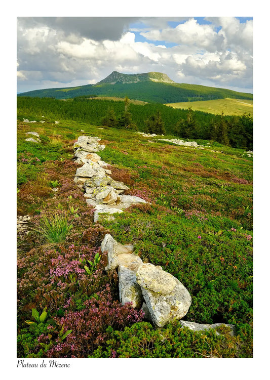 Série Plateau du Mézenc