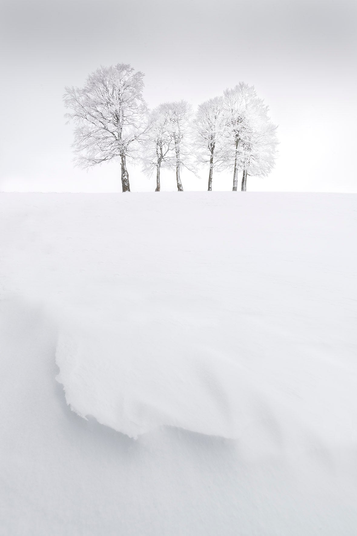 Série Pays de neige 5