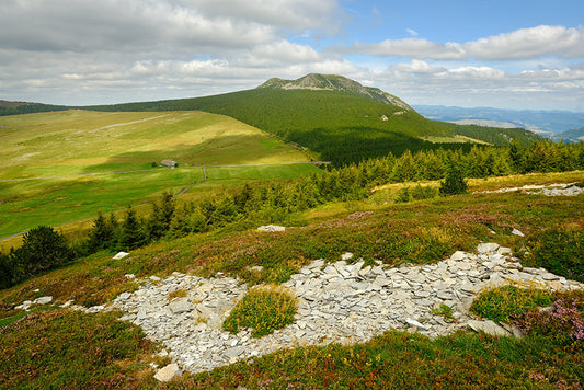 Série Plateau du Mézenc 12