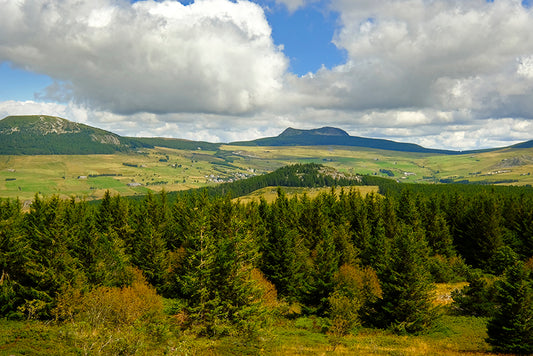 Série Plateau du Mézenc 15