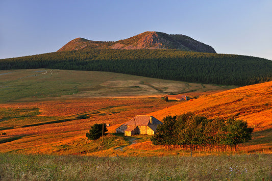 Série Plateau du Mézenc 18
