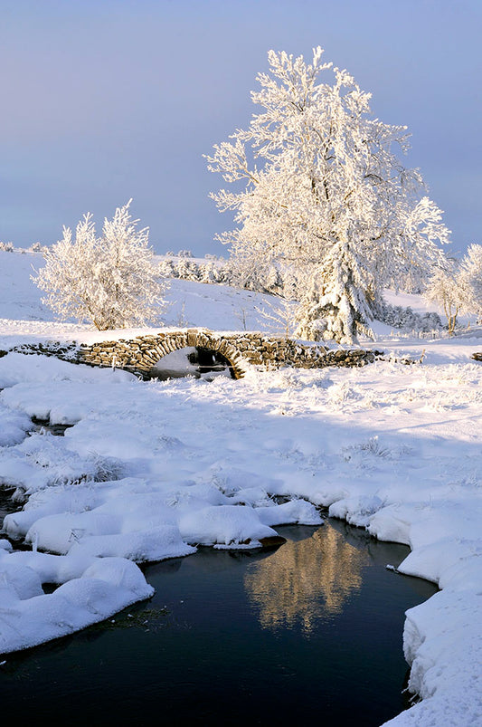 Série Pays de neige 9