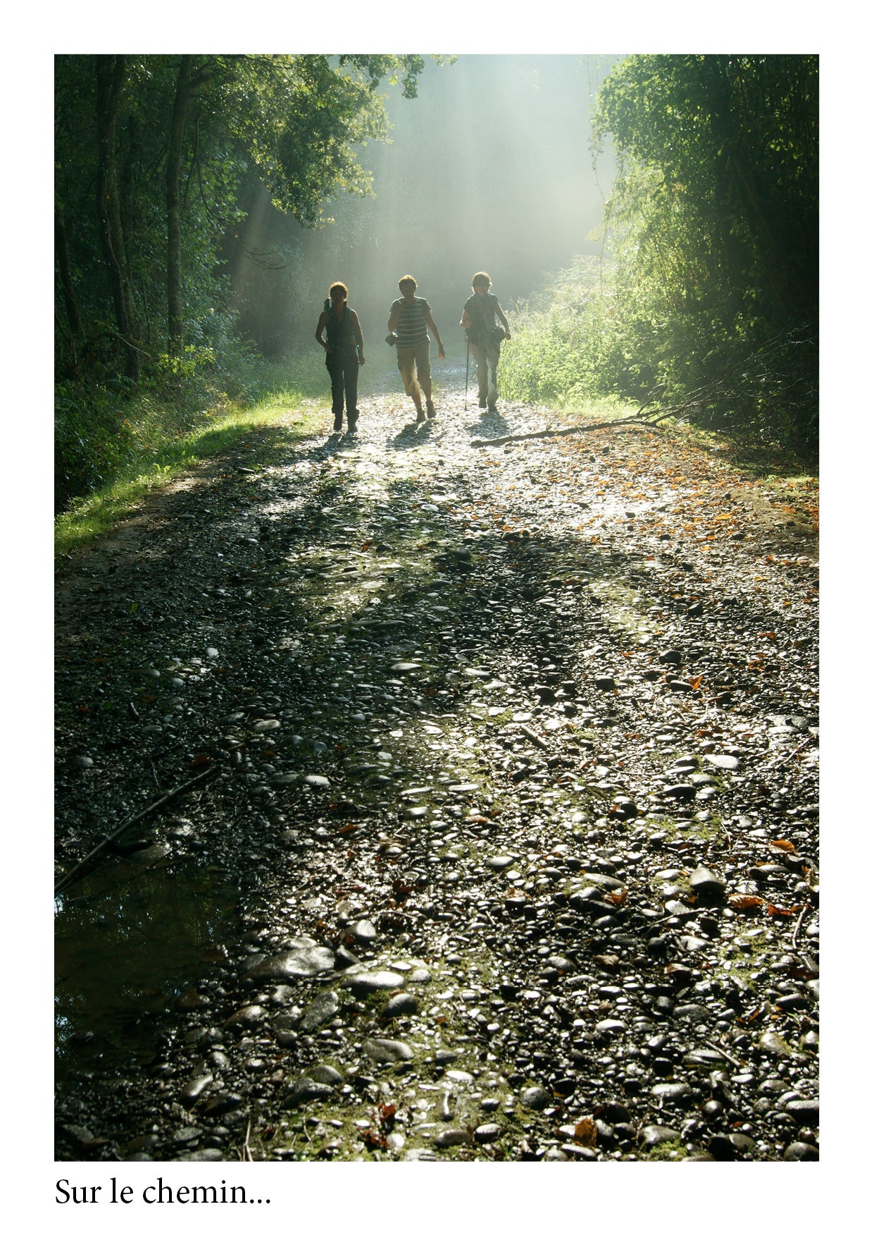 Sur le chemin